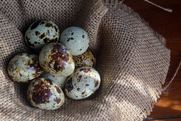 Quail eggs are rich in high quality protein which is important for the growth and repair of body...