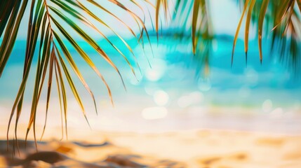 Obraz premium Palm Tree Leaves Over Tropical Beach