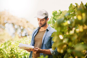 Man, farmer and farm checklist for crops, writing notes and review produce quality or development....