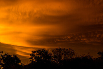 nubes mammatus