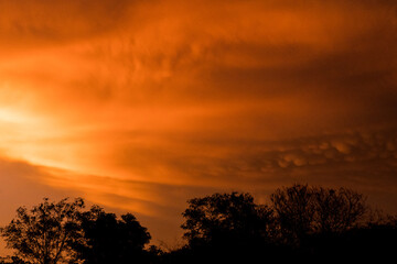 nubes mammatus