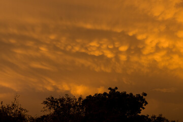 Fototapeta premium nubes mammatus