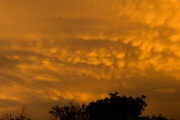 nubes mammatus