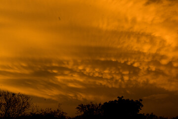 nubes mammatus