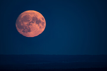 A large, glowing full moon rises above a dark, misty forest, casting a serene light over the landscape. The sky is a deep blue, creating a striking contrast with the moon's pinkish hue.