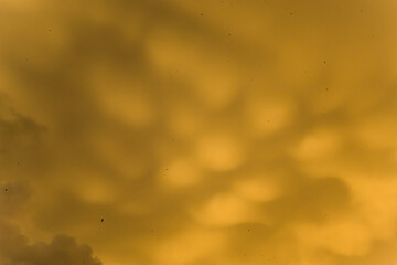 Nubes