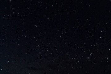 Fototapeta premium estrellas en el mar