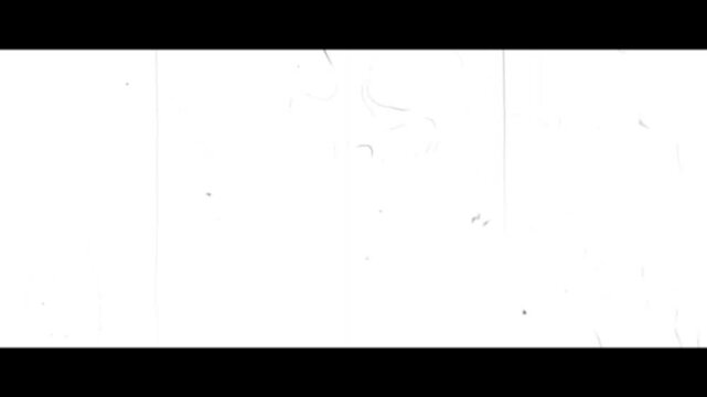 フィルムノイズ素材w02