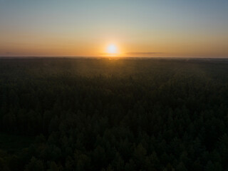 Contrast photo view from a drone. The sun rises over the forest early in the morning in August in Estonia.