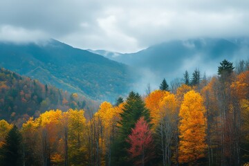 Colorful autumn fall foliage at the mountains
