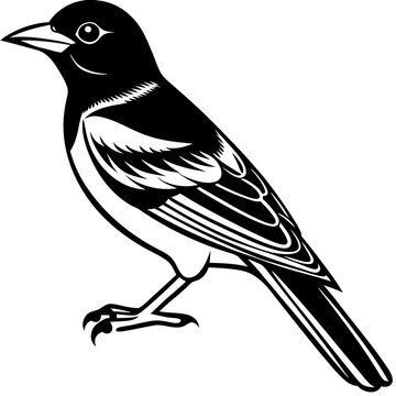 recommend clip art: Oriole bird silhouette vector illustration on white background 