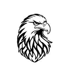 head of eagle