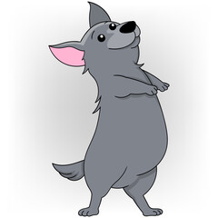 dog is acting cute, standing on two legs walking like a mummy