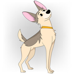 house guard dog with a thin body that moves quickly