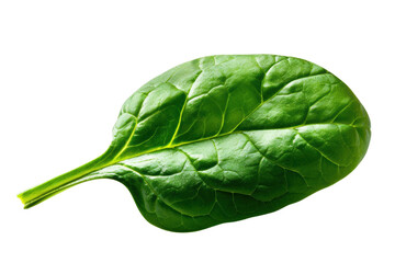 Obraz premium Fresh spinach leaf with vibrant green color, perfect for healthy recipes and nutrition-focused content.