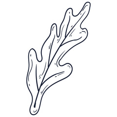 Hand drawn simple flower outline illustration isolated on the white background