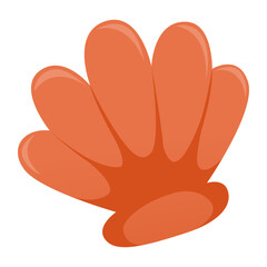 Sea Shell illustration on a white background