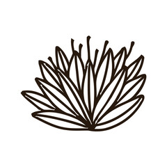 Flat design simple flower outline illustration