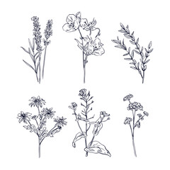 Flat design simple flower outline isolated collection