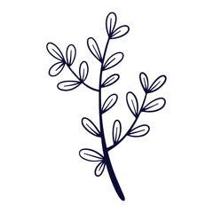 Hand drawn flower and leaf illustration isolated on the white background