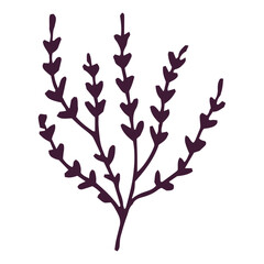 Hand drawn flower and leaf illustration on a white background