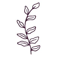 Hand drawn flower and leaf illustration on the white background