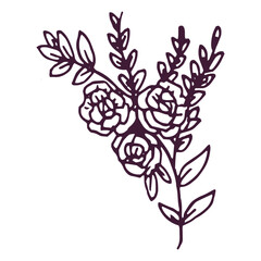 Hand drawn flower and leaf illustration on the white
