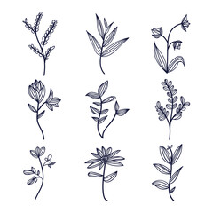 Hand drawn flower and leaves isolated collection