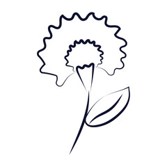 Hand drawn flower and leaves isolated illustration on the white