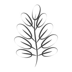 Hand drawn flower and leaves isolated on a white