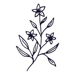 Hand drawn flat design simple flower outline illustration on a white