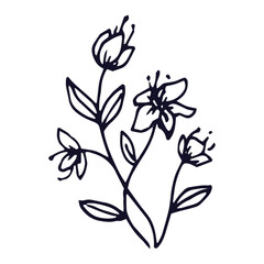 Hand drawn flat design simple flower outline illustration on white