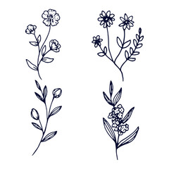 Hand drawn flat design simple flower outline isolated collection