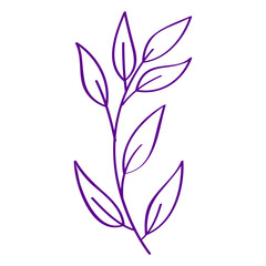 Hand drawn flat design simple flower outline isolated on the white