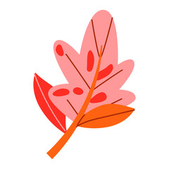 Illustration of leaf on a white background