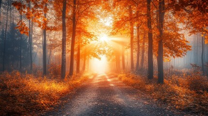 Fototapeta premium Autumn background with maple leaves and bokeh,Fall blurred background, Yellow and red maple leaves are flying and falling down. Autumnal landscape.water drop on leaf,space for text.