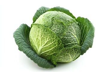 Fototapeta premium cabbage isolated on white background