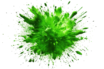 A Verdant Explosion of Color in a White Void on a White or Clear Surface PNG Transparent Background.