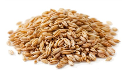 Fototapeta premium Barley Seeds Pile on Isolated White Background. Grain Crop for Agriculture and Food