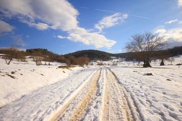 Bozcaarmut Dam Reservoir is located in Bozcaarmut Village of Pazaryeri district in Bilecik.