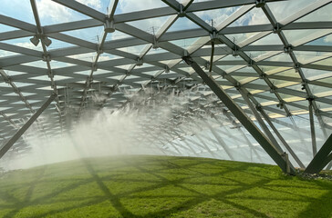 Green lawn under the dome © schankz