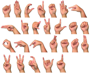 hand showing sign,  American Sign Language of alphabet of A until Z, ABCDEFGHIJKLMNOPQRSTUVWXYZ on transparent background