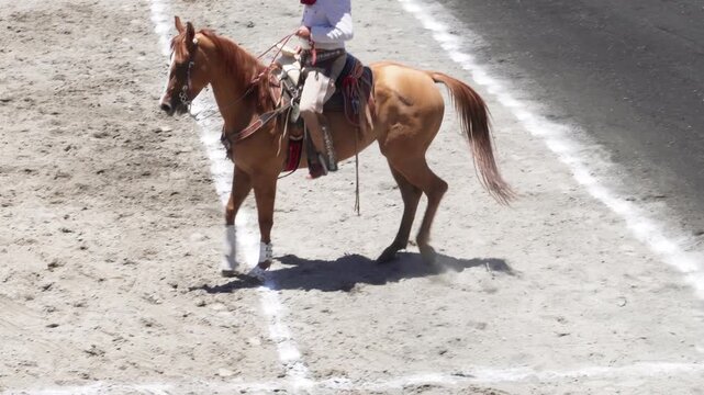 isolated mexican charro riding his horse, mexican traditions, mexican cowboy