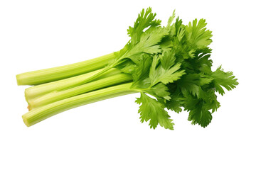 A Bunch of Crisp Celery Stalks With Lush Green Leaves on a White or Clear Surface PNG Transparent Background.