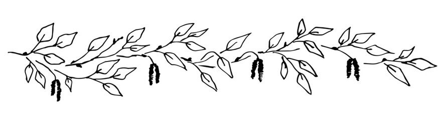 Hand drawn vector illustration with black outline. Long border, plant banner, vegetation. Branches, leaves and catkins of birch. Fresh foliage.