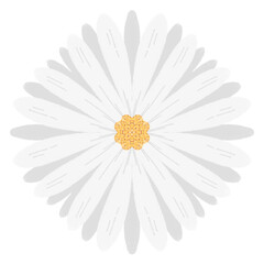 white Flower (Daisy-like)