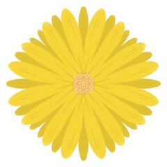 Yellow Flower (Daisy-like)