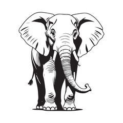 line art Elephant on white background. sketch style. Vector graphic icon animal.