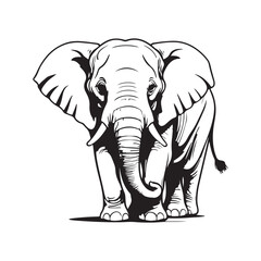 line art Elephant on white background. sketch style. Vector graphic icon animal.