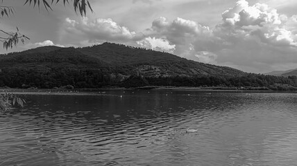 Landscapes -  Forest - Europe, Romania